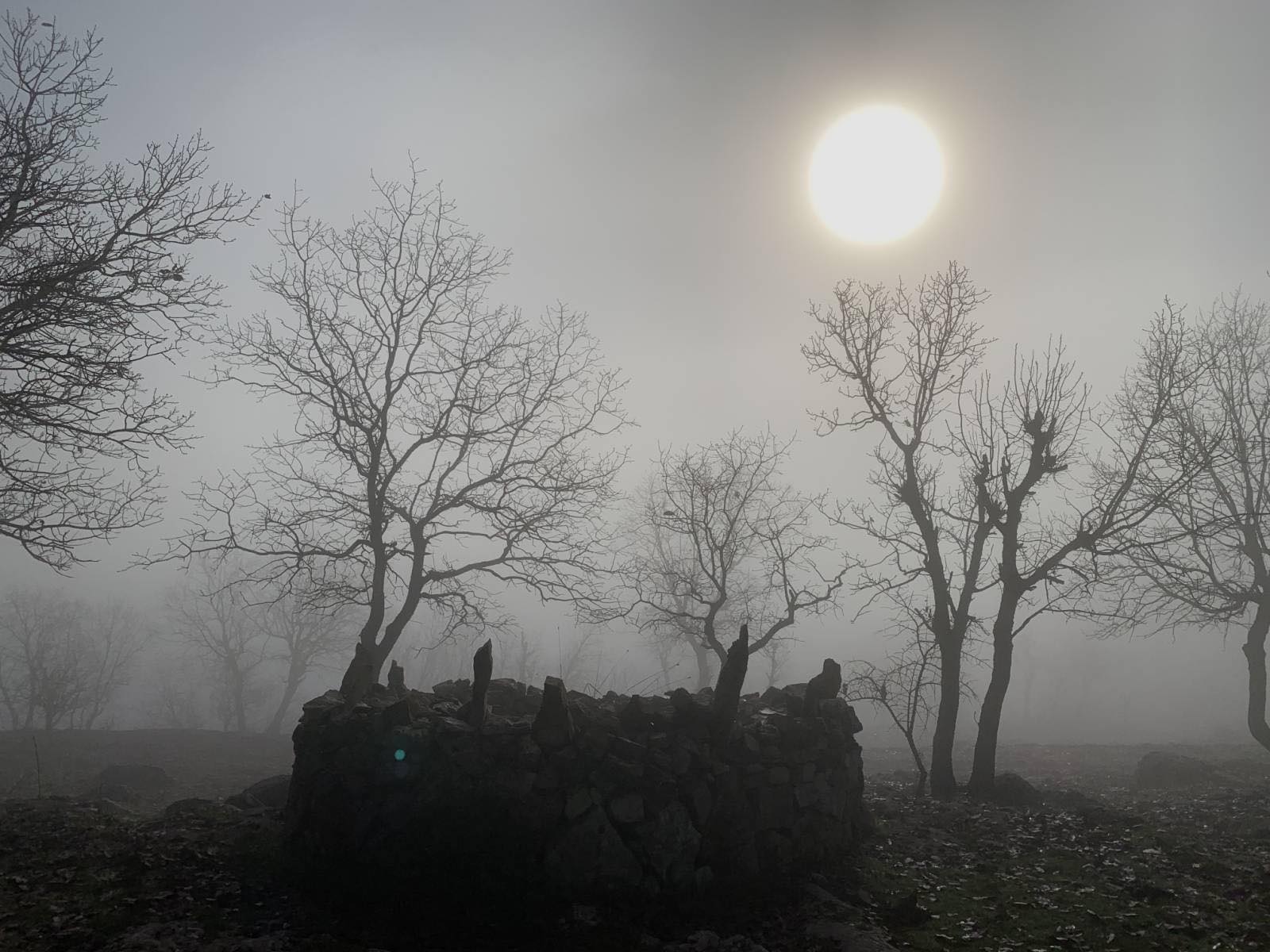 Kürt yönetmene ‘en iyi film’ ödülü